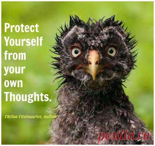 Timeline Photos - Sue Fitzmaurice, Author