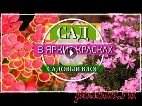 ЯРКИЙ Сад в Начале МАЯ / Какие Многолетники ШИКАРНЫ в начале весны

домашние шлепки крючком