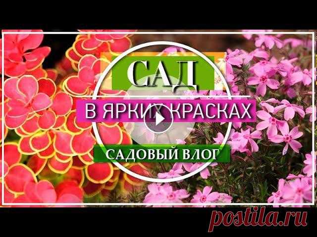 ЯРКИЙ Сад в Начале МАЯ / Какие Многолетники ШИКАРНЫ в начале весны

домашние шлепки крючком