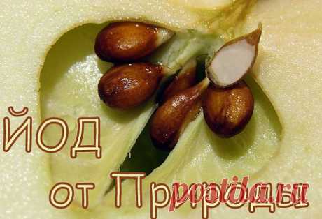 ��� ���������. ���������� �� LiveInternet - ���������� ������ ������-���������