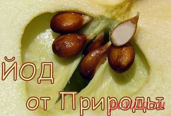 ��� ���������. ���������� �� LiveInternet - ���������� ������ ������-���������