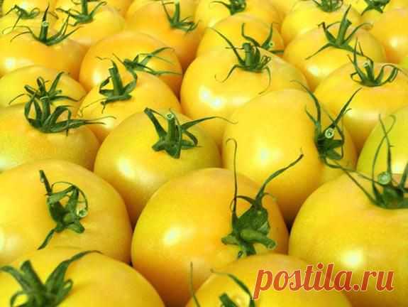 Почему опадают завязи помидор | Самоцветик