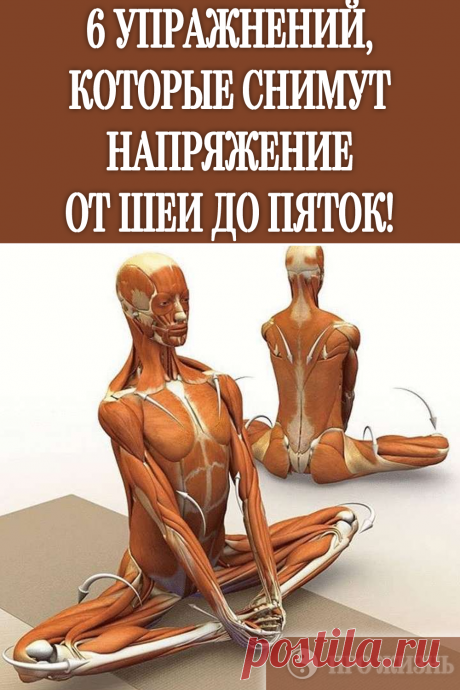 #упражнения #для #спины #снять #напряжение - Favland.org
