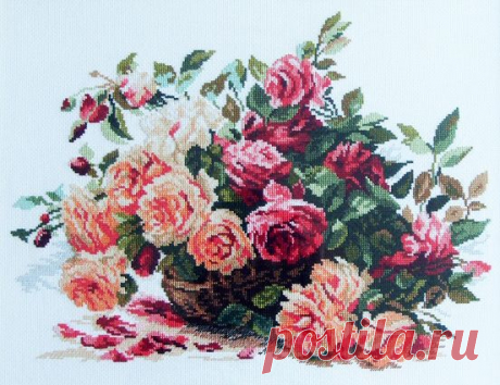 “Розы” (Алиса)