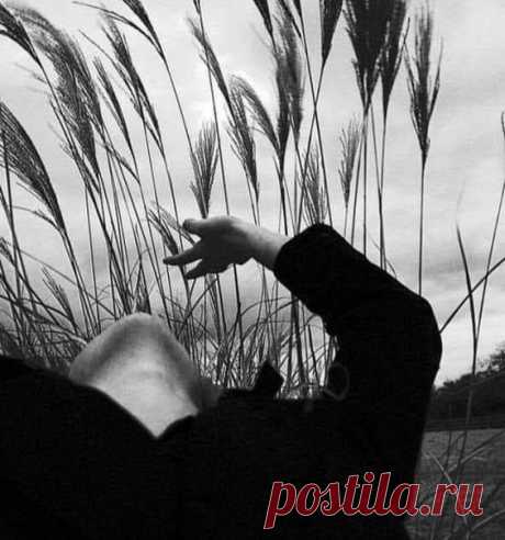 И после плохого урожая нужно сеять. 

Сенека