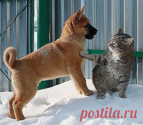 - Приветик! Как насчет познакомиться? 
-Привет. Я тебя не знаю, ты меня не знаешь... Зачем портить такие гармоничные взаимоотношения?