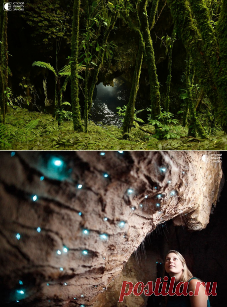 Пещера светлячков.