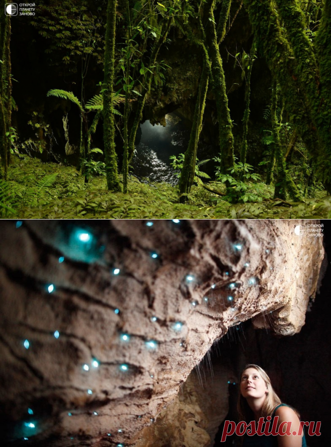 Пещера светлячков.