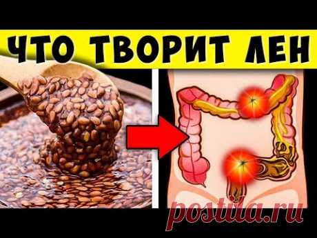 Вот что Семена Льна сделают с Вами если Есть их Каждый день