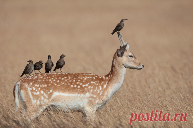 Берегите природу