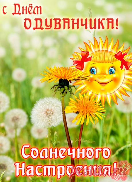 Желаю легких решений и пушистого счастья! С праздником одуванчика! Открытки на Всемирный день одуванчика!