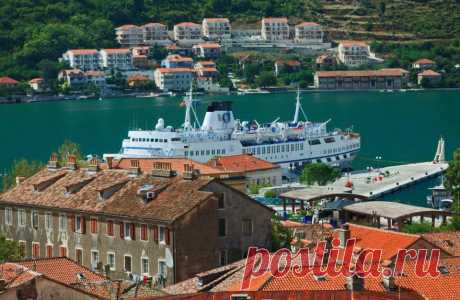 Kotor