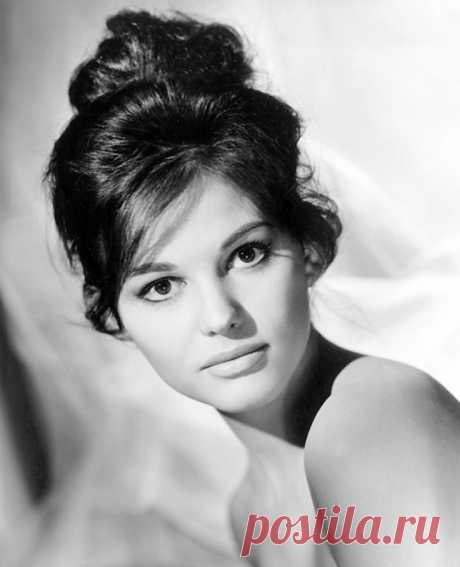 Клаудия Кардинале (Claudia Cardinale)
- 15 апреля, 1938