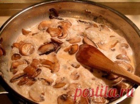 Грибные соусы на основе шампиньонов