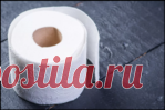 Зачем кладут туалетную бумагу в холодильник + еще 7 полезных советов по ее применению в хозяйстве