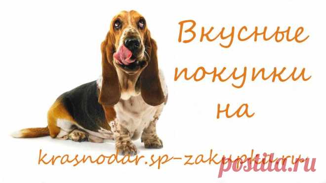 совместные покупки в краснодаре, совместные покупки,купить дешево, работа организатором - Совместные закупки Пушистик
