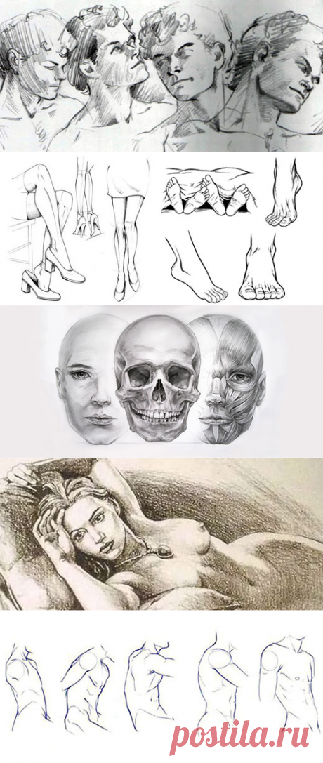 Как Нарисовать Человека | web-paint.ru