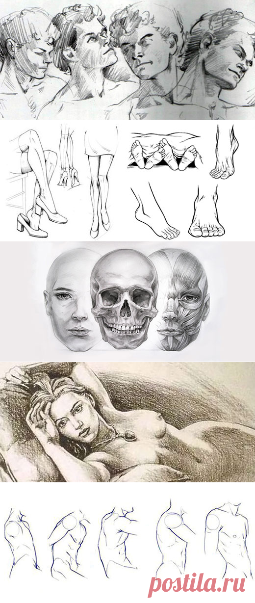 Как Нарисовать Человека | web-paint.ru