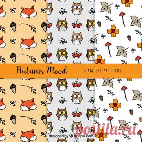 Симпатичная пачка осенних узоров с животными Более миллиона свободных векторов, PSD, фотографии и бесплатные иконки. Эксклюзивные халявы и все графические ресурсы, которые необходимые для ваших проектов
