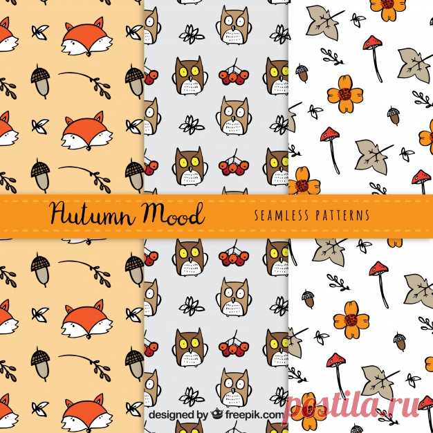 Симпатичная пачка осенних узоров с животными Более миллиона свободных векторов, PSD, фотографии и бесплатные иконки. Эксклюзивные халявы и все графические ресурсы, которые необходимые для ваших проектов