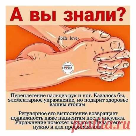 ЛЕЧИМСЯ САМИ
