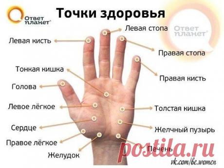 Сохранённые фотографии | 7 685 фотографий
