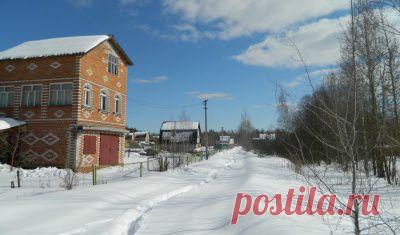 Как сажать и ухаживать за вереском? Сорта вереска.