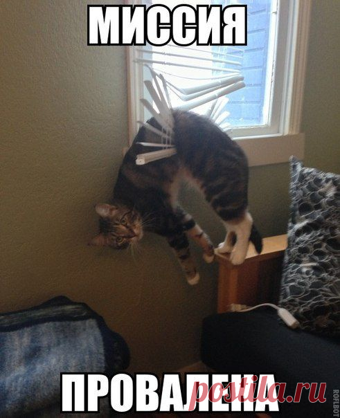 Смешные картинки - 550