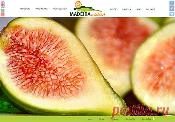 Novo site de apoio à exportação de frutos exóticos da Ilha da Madeira | Web Design Madeira & Soluções CMS