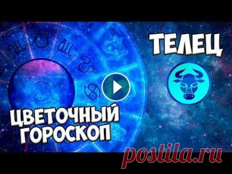 Цветочный гороскоп  Какие цветы соответствуют знаку телец? Цветы, травы, растения и деревья находятся под управлением знаков Зодиака. Для представителей каждого знака ест...