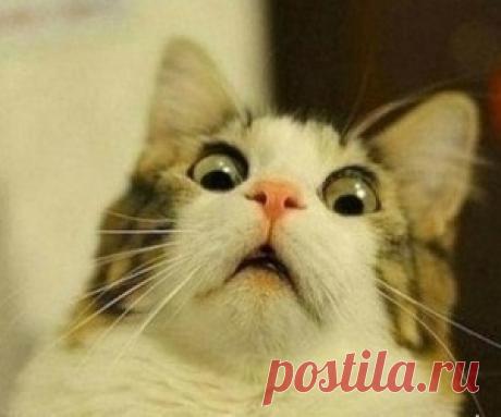 В пятиугольном замке Монсегюр катары охраняли Священный Грааль