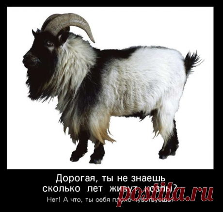 Демотиваторы (30 фото) » Триникси