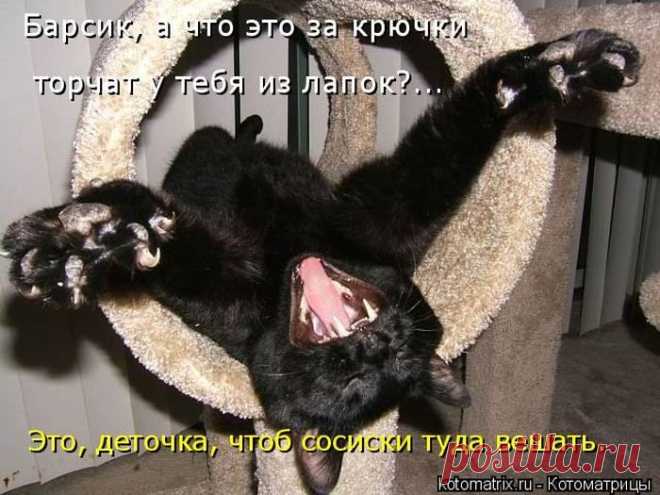Мыслишки