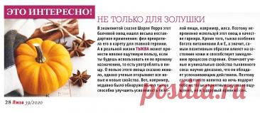 Полезные свойства тыквы