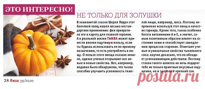 Полезные свойства тыквы