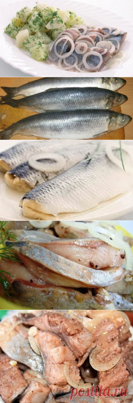 Как засолить селёдку в домашних условиях быстро, пошаговый рецепт