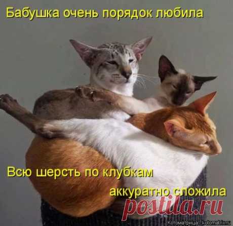 Новенькие кошкоматрицы;)