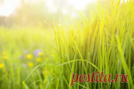 500px / тепло Mindprint