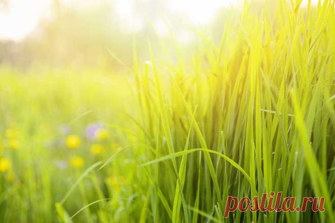 500px / тепло Mindprint