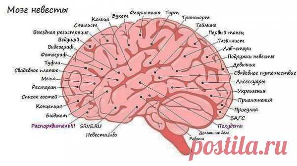 Зачем нужен свадебный организатор?