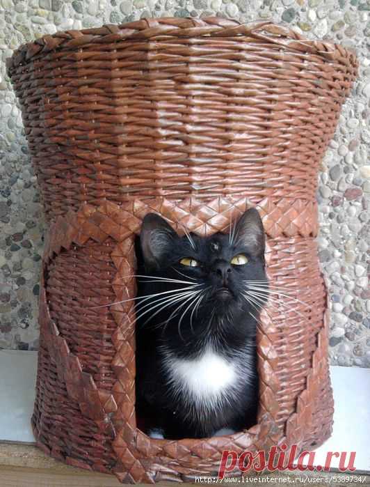 Домики для кошек из газетных трубочек. Идеи и мастер-класс | Умелые ручки