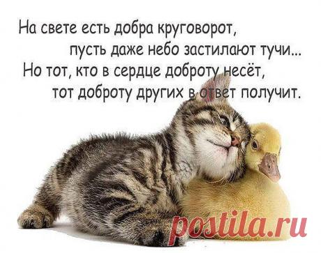 Интересные новости