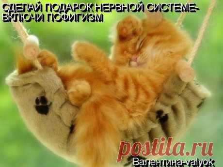 МОЯ ОТКРЫТКА