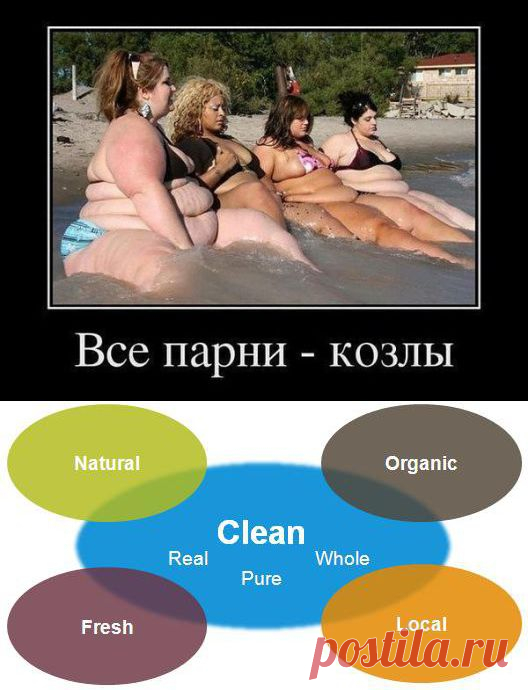 Старое тело на новый лад. С чего начать похудение в Новом году