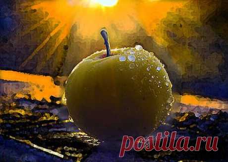 Ева (Лидия Рыбакова) / Стихи.ру - национальный сервер современной поэзии