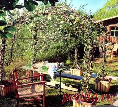 Беседка для дачи недорого | Креативные идеи - для дома, для сада, вязание, шитье, описание моделей