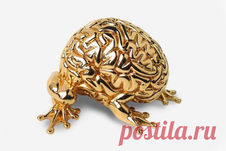 Золотой нейрон: 10 причин восхищаться своим мозгом. Ну тут не хочется спорить, Ну все же умные.