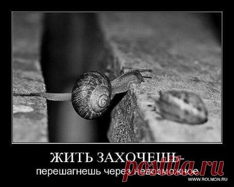 Орифлэйм уже везде, очень много консультантов работает
  Да, это так и это только нам в «+». Орифлэйм – это раскрученный бренд и люди, как правило, выбирают  то, что известно. И совсем не страшно, что консультантов много, ведь людей, которые пользуются косметикой и средствами гигиены, намного больше. Магазинов ведь тоже много, но везде есть свои покупатели. И это лишний раз подтверждает факт, что наш бизнес доходный! Не станут же люди заниматься бизнесом, который не приносит прибыли, правда?