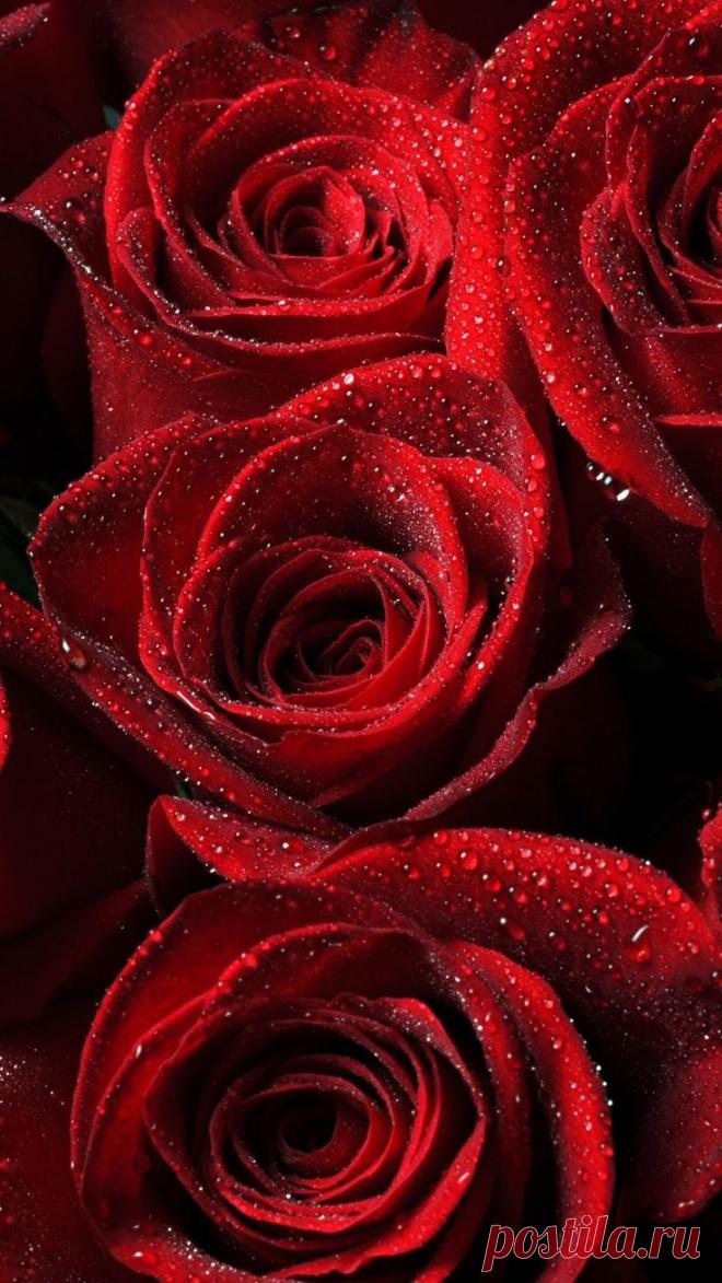 Найдено на сайте ilikewallpaper.net.