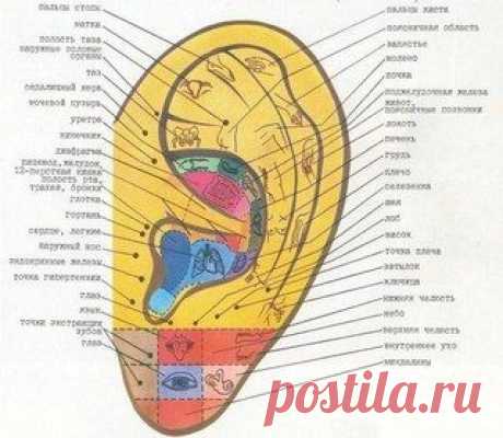 Советы и Идеи | ВКонтакте